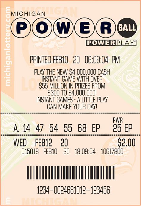 ‘All I could do was scream’ says Michigan woman who won $70M .